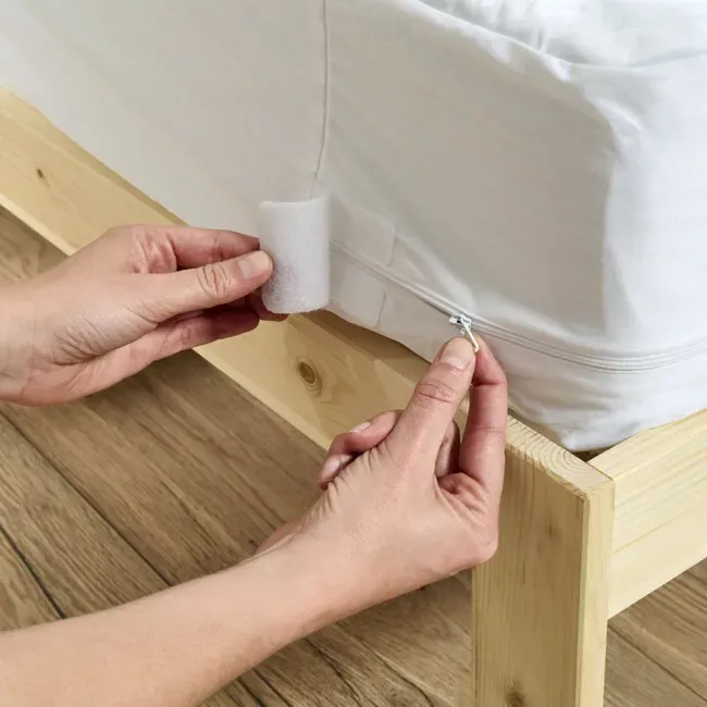 Installation d'une housse anti-punaises de lit avec fermeture zippée sur un sommier